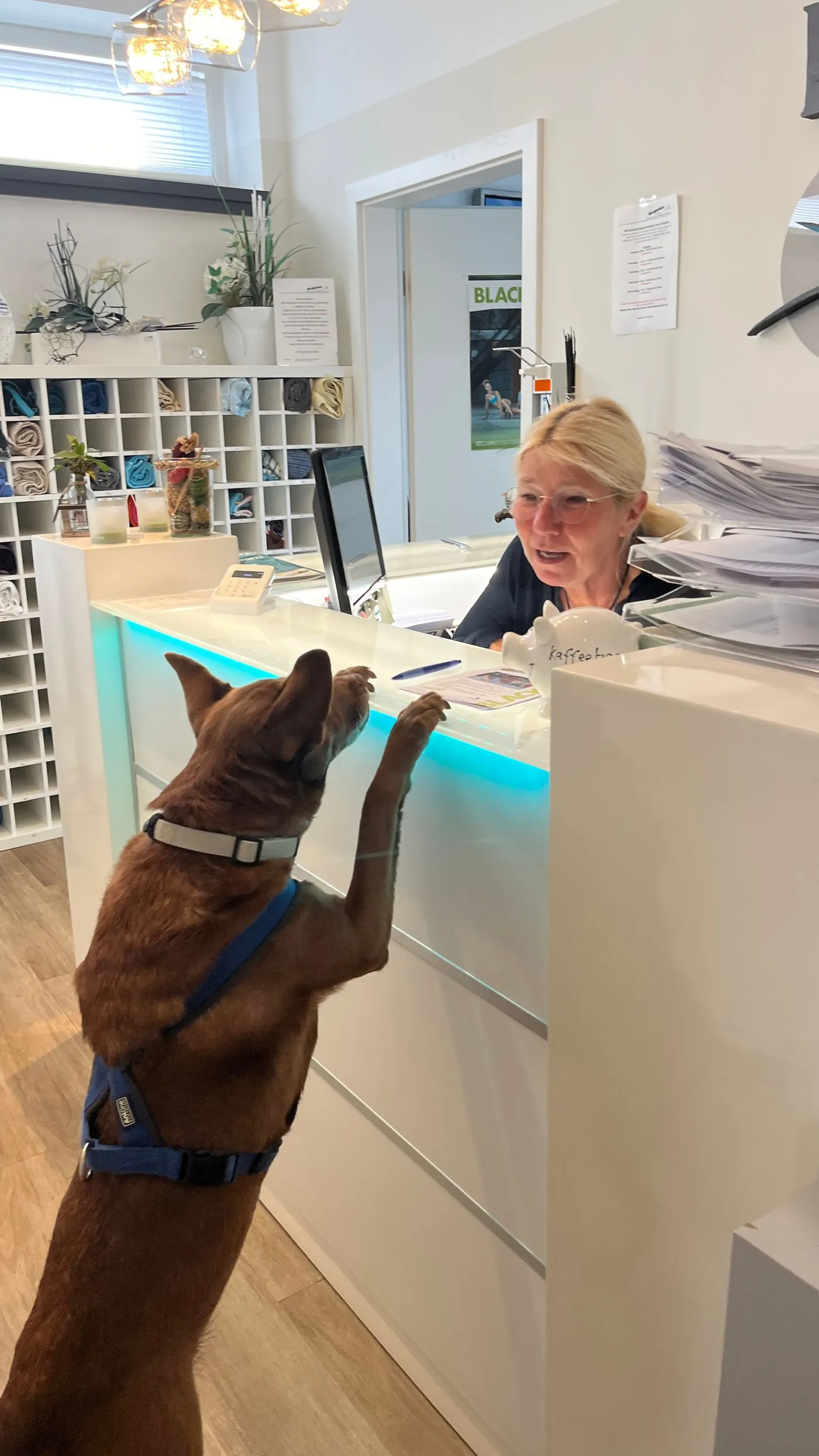 Anmeldung mit Praxishund Emma